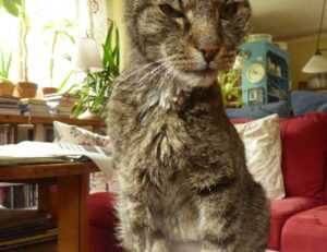 best gaming updates feedgamebuzz