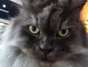 best hacks for gaming by feedgamebuzz