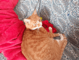 best online gaming guide feedgamebuzz