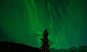 daskusza exploration