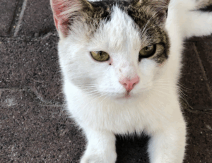 gaming updates feedgamebuzz