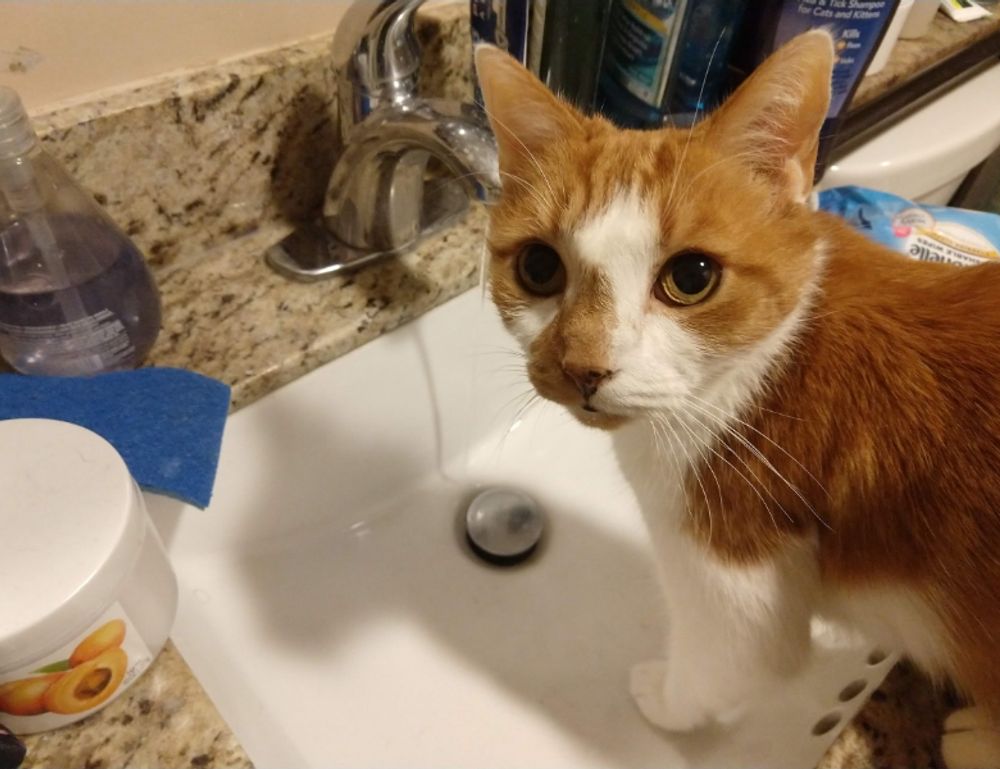 how long can i live with pavatalgia