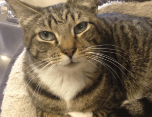 how to mine coins from gaming in 2023 feedgamebuzz