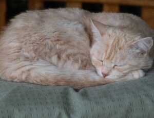 latest gaming updates feedgamebuzz