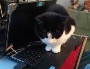 latest tips for gaming by feedgamebuzz