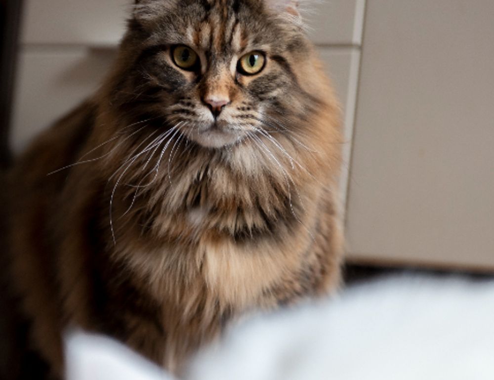 when is ustudiobytes released