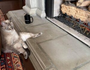 when was the game innerlifthunt released