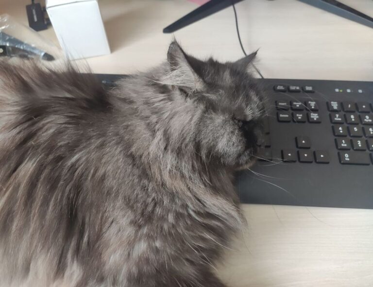 gameplay guide togplayering