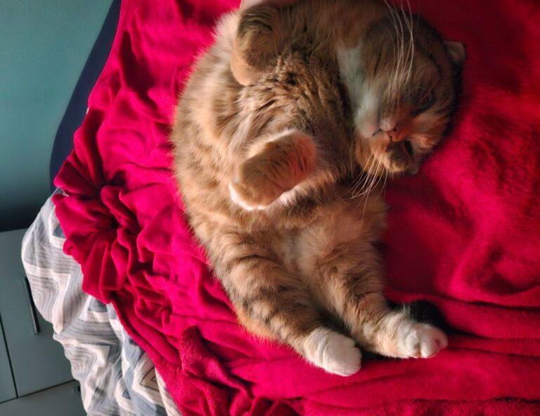 togplayering gameplay advice from thinkofgamers