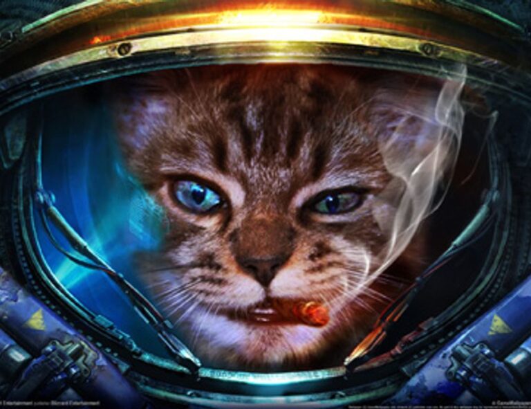 togplayering gameplay guide by thinkofgamers