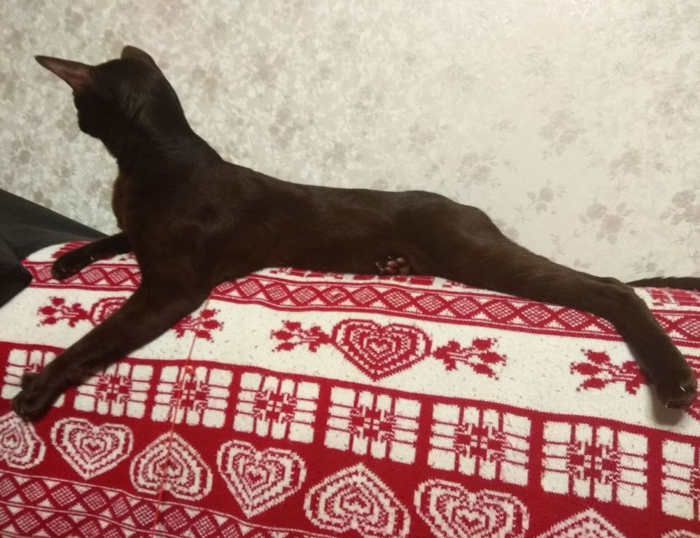 why video games are so popular togplayering