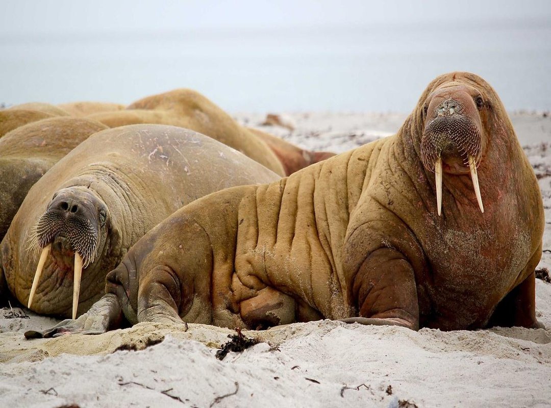 Practical Steps to Take When You See 13:31