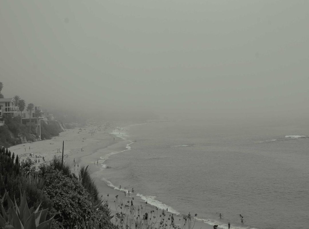 Jumbo vs. Regular Size: A Head-to-Head Comparison