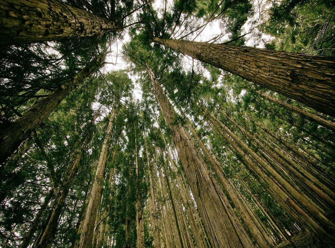 The In-Home Alternative: How Lidl's Bitter Aperitivo Stacks Up