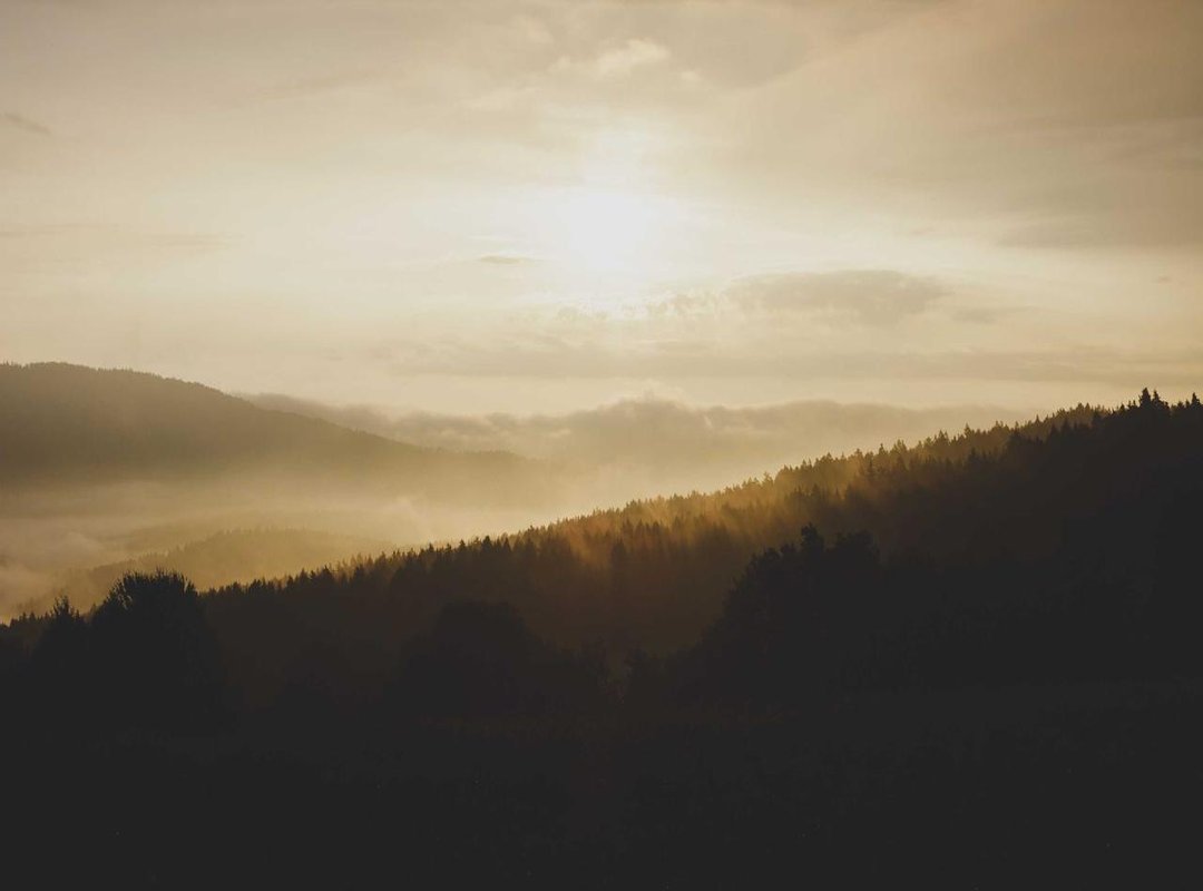 Frequently Asked Questions (FAQs) About +96 Prefix