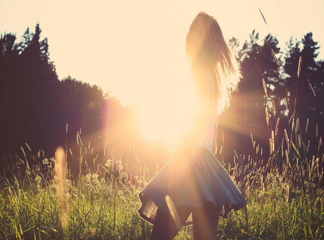 A Closer Look: The Best Materials for Inexpensive Planters