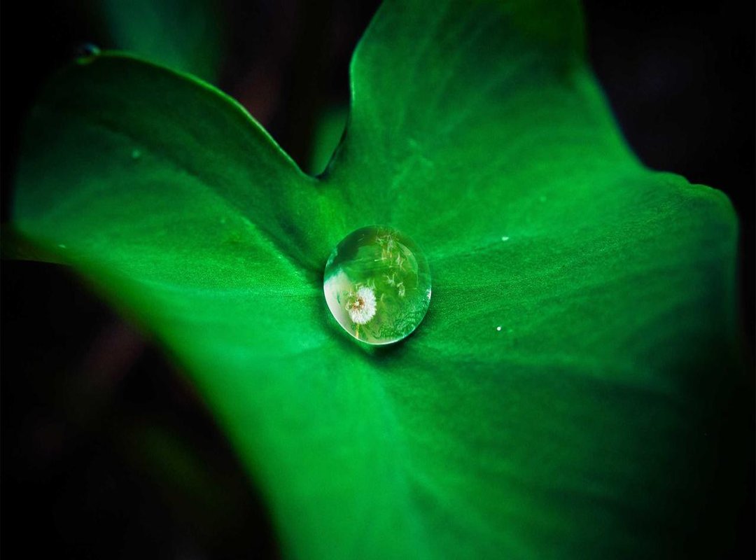 Decoding the Cosmos: Key Terms in Your Daily Reading