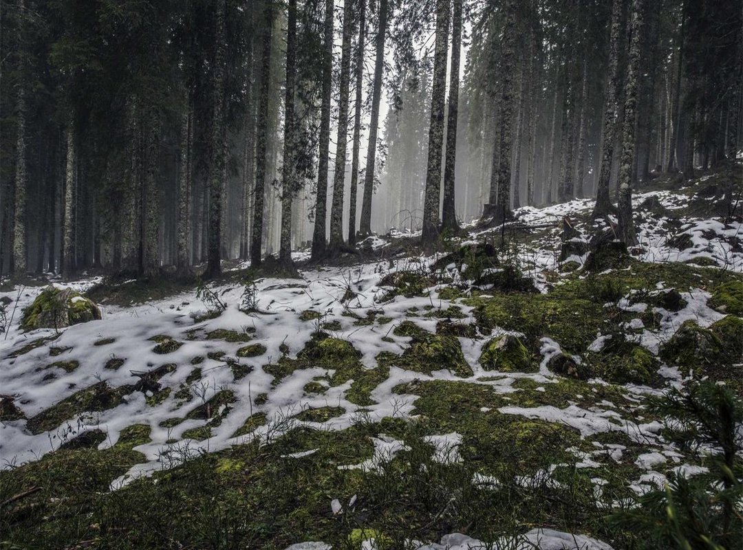 Frequently Asked Questions (FAQs)