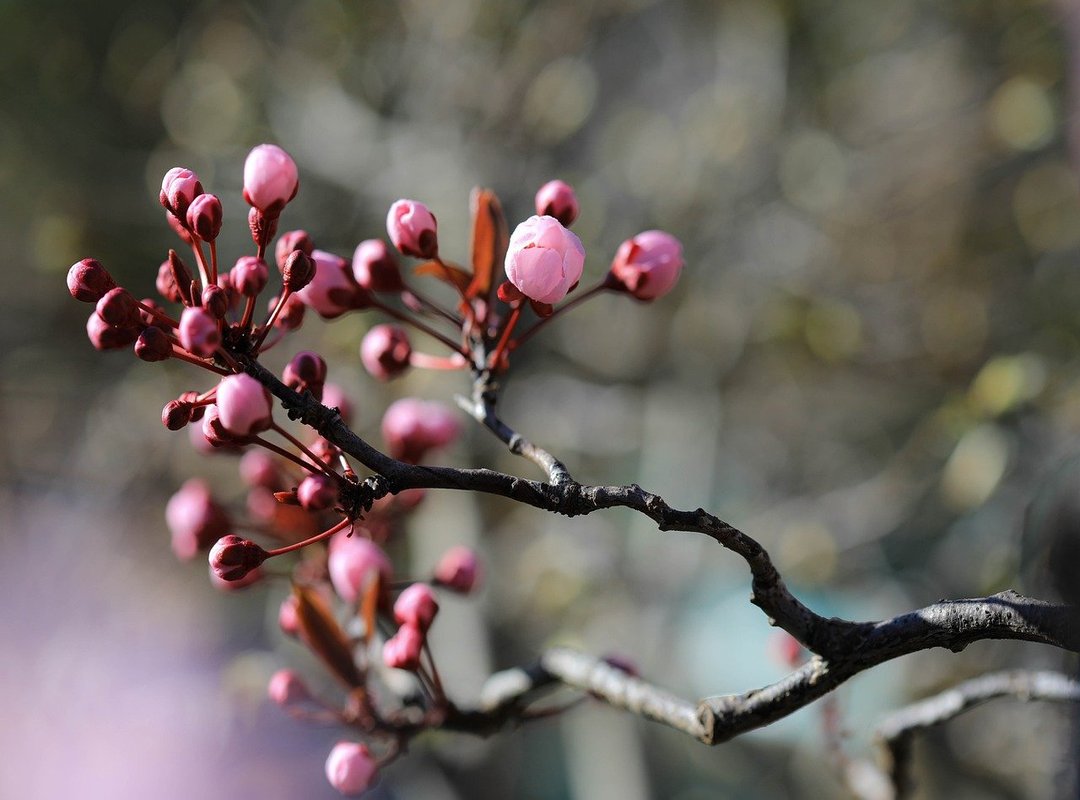 Services and Amenities Available at This Branch