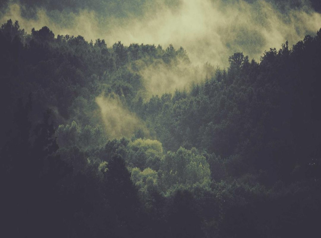 The Separation: What We Know About the Split