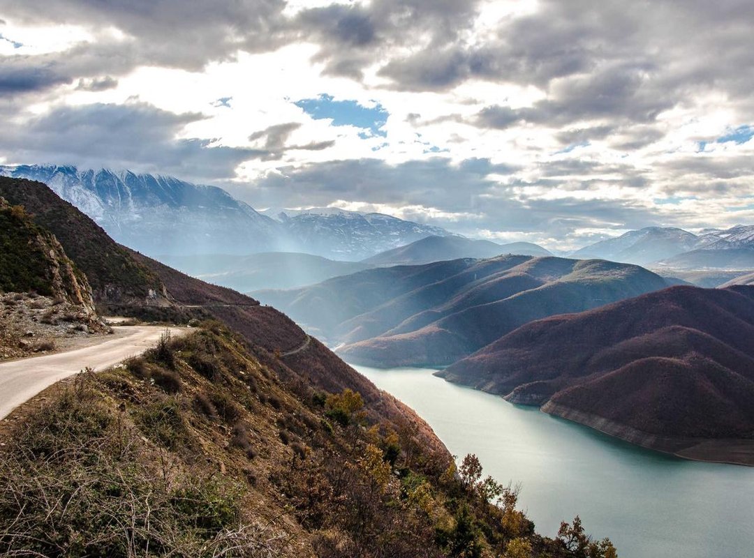 Lidl Dino Nuggets vs. The Competition: A Head-to-Head Comparison