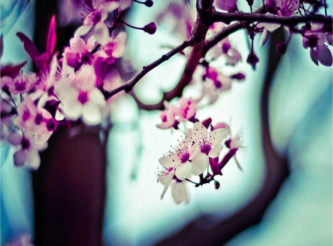 Red Flags and Green Flags: Spotting High vs. Low QOS