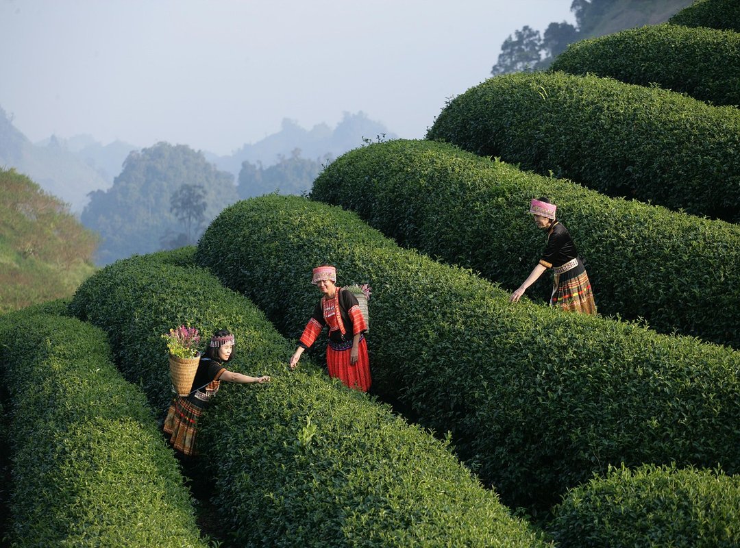 User Experience on DramaCool