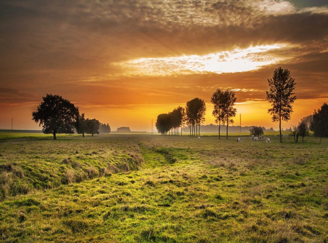 How He Stacks Up: A Height Comparison with Other YouTubers