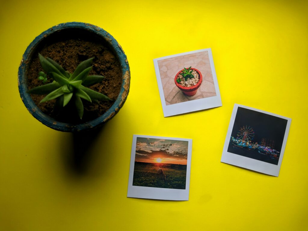 How Better Images Can Transform Your Online Presence