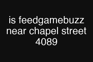 is feedgamebuzz near chapel street 4089